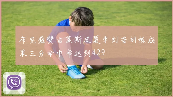 布克盛赞吉莱斯皮夏季刻苦训练成果三分命中率达到429