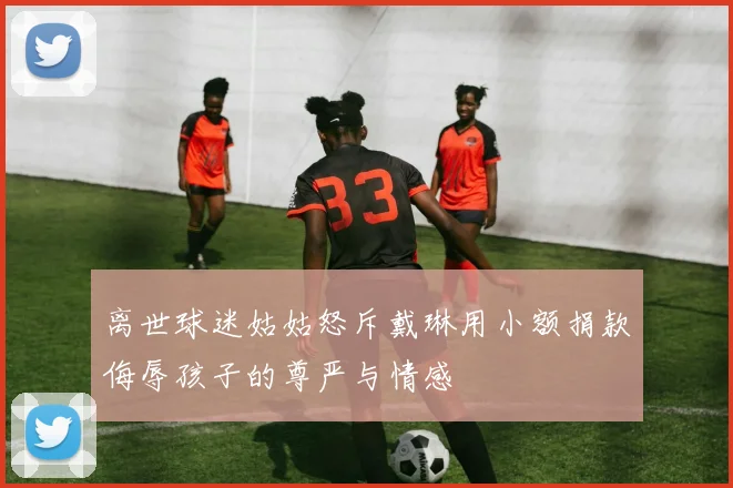 离世球迷姑姑怒斥戴琳用小额捐款侮辱孩子的尊严与情感