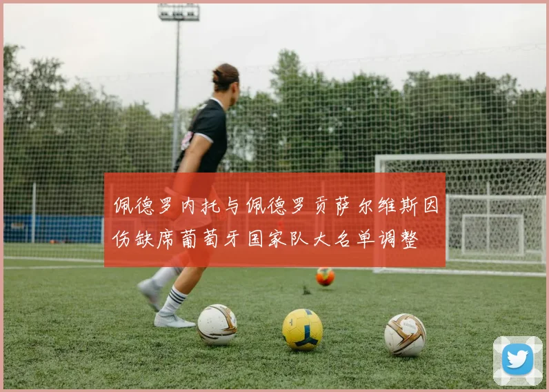 佩德罗内托与佩德罗贡萨尔维斯因伤缺席葡萄牙国家队大名单调整