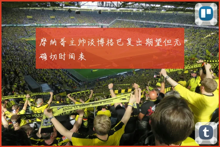 摩纳哥主帅谈博格巴复出期望但无确切时间表