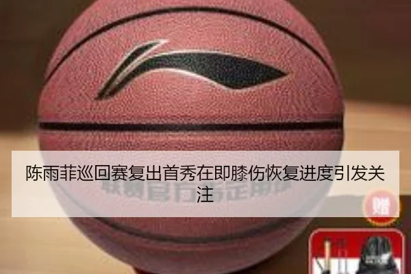 陈雨菲巡回赛复出首秀在即膝伤恢复进度引发关注 | BAJIESPORTS